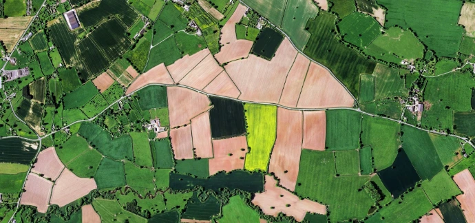 aerial view of green and black fields